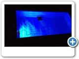 Power S Becken 4 X 7 Meter mit Granit Umrandung